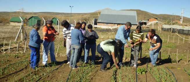 TRABAJANDO_CHOLAR